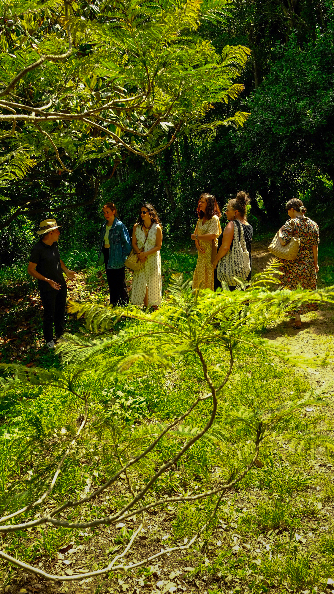 Galeria Floral Farm Guided Tour in Colares 3