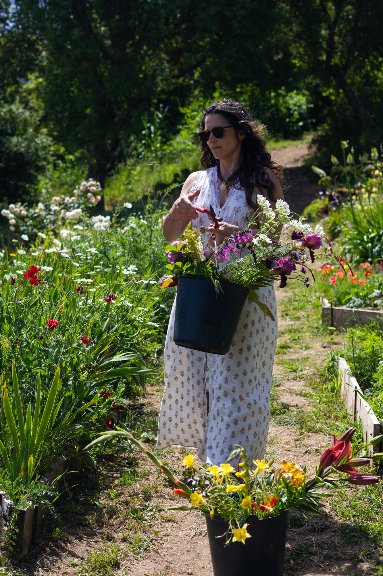Galeria Create Your Own Bouquet at a Sintra Flower Farm 10