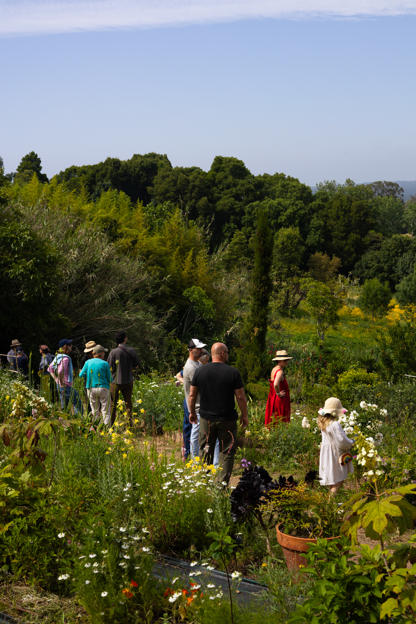 Galeria Floral Farm Guided Tour in Colares 7