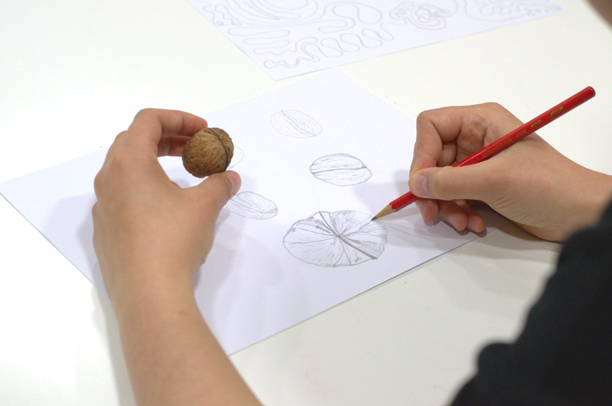 Workshop de Desenho de Verão