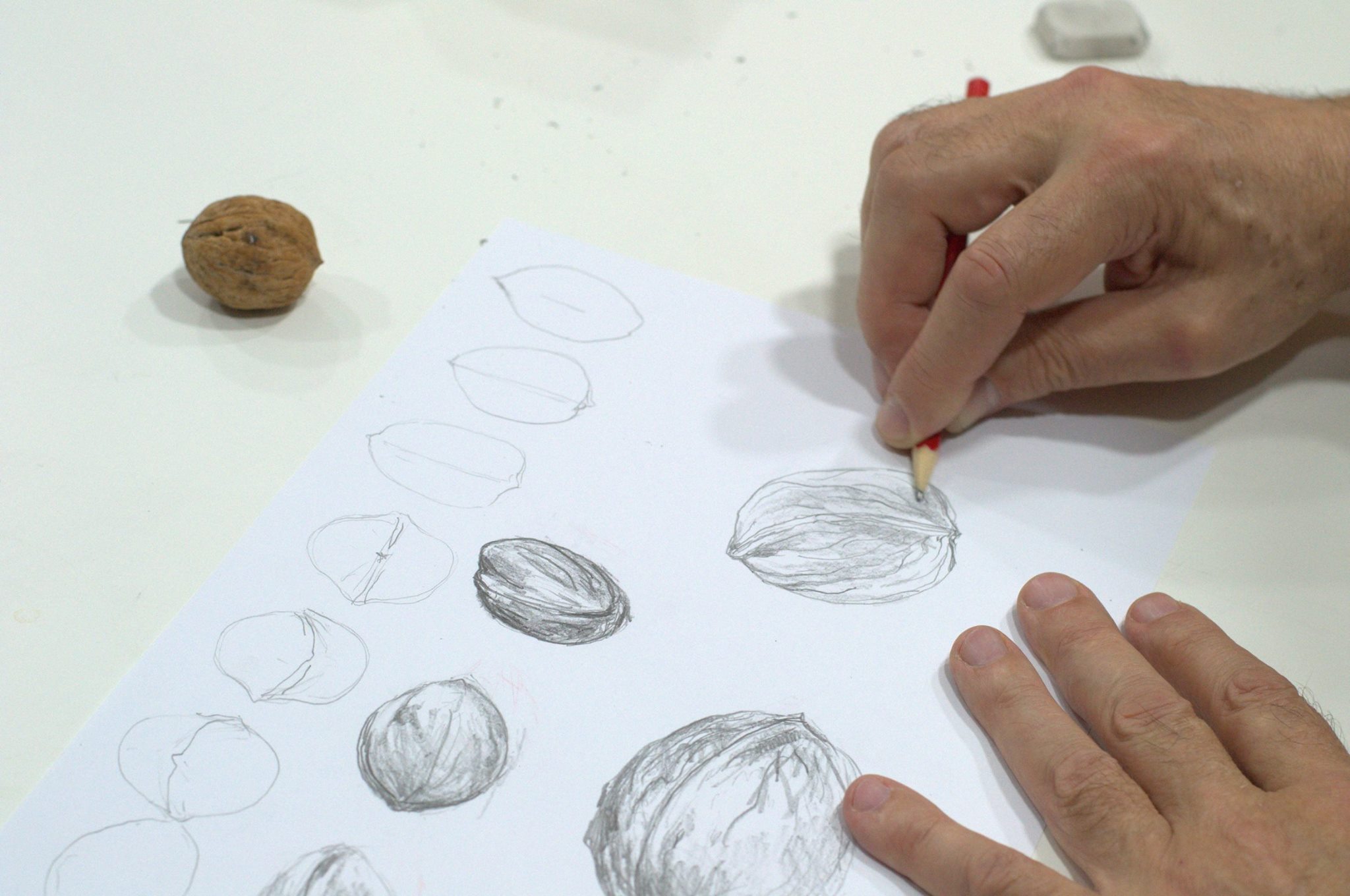 Galeria Summer Drawing Workshop 2