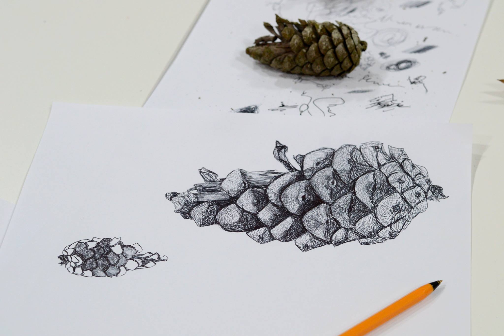 Galeria Summer Drawing Workshop 4