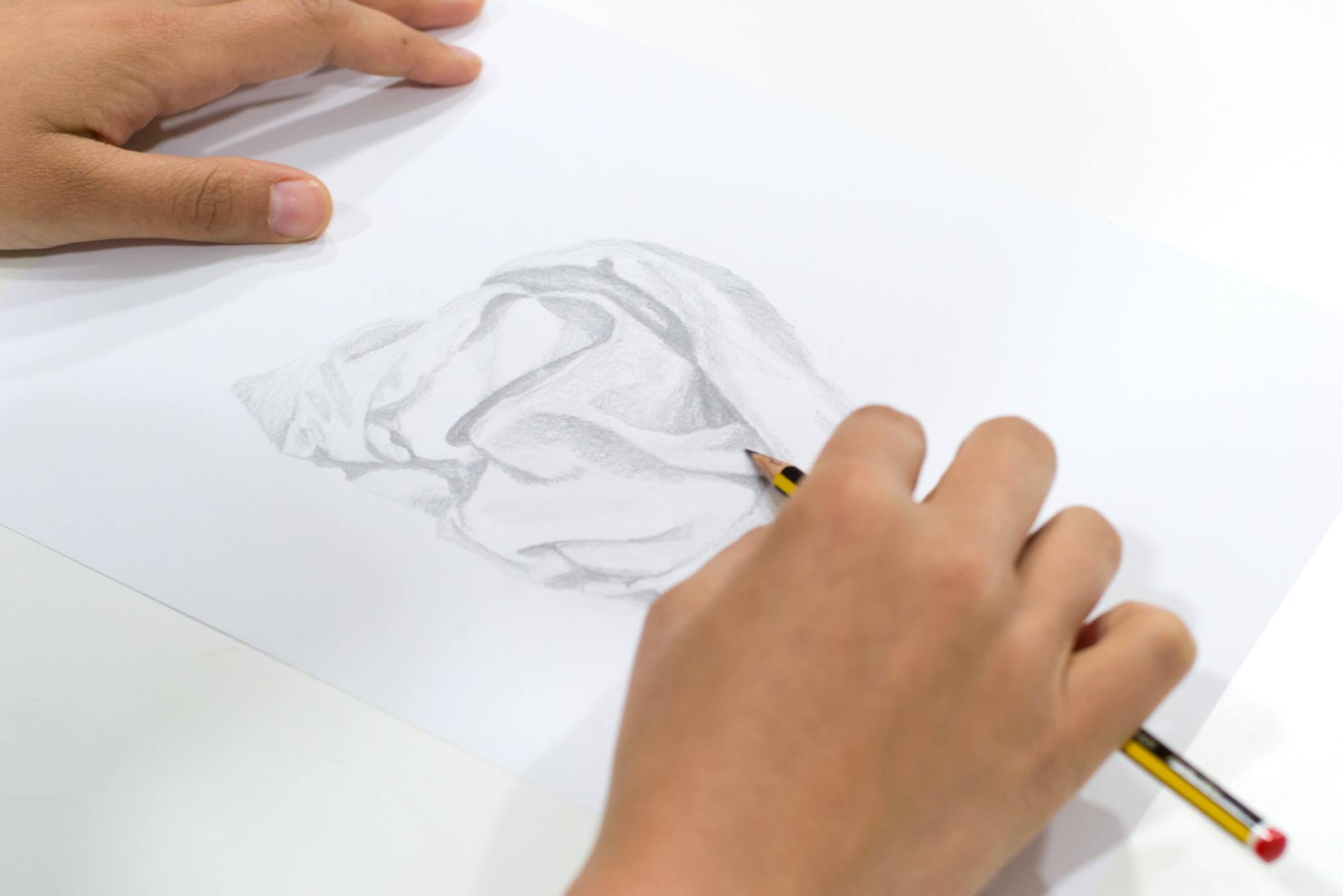 Galeria Summer Drawing Workshop 3