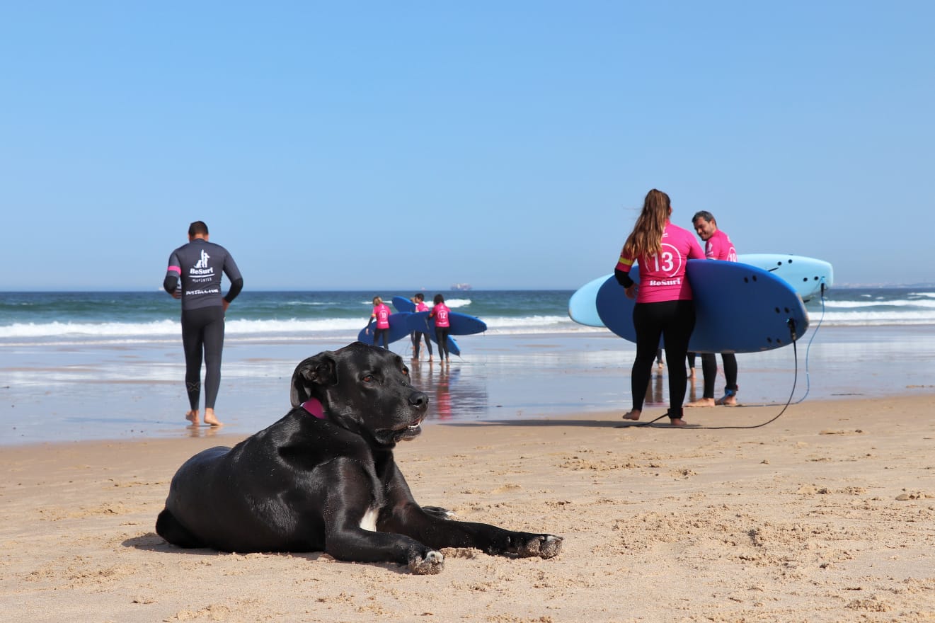 Skimboard Lesson gallery 2