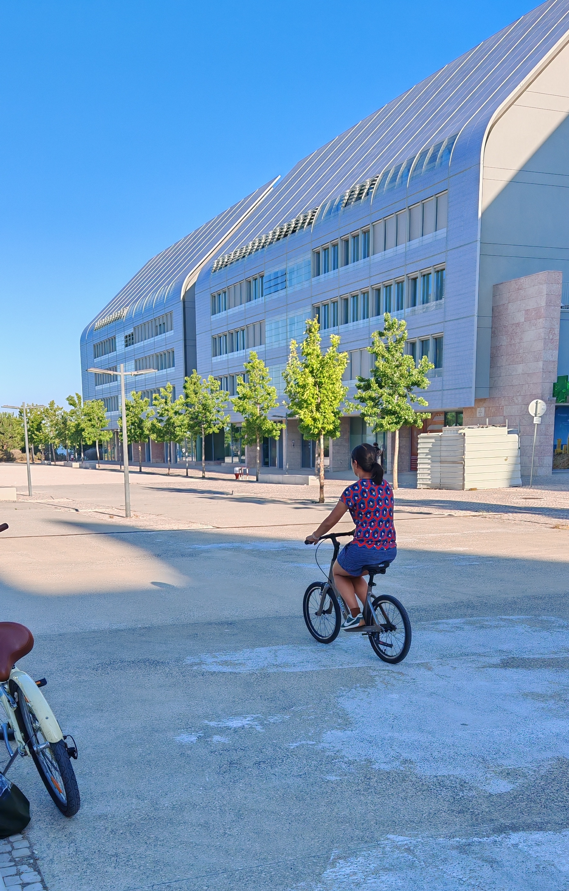Bicycle Baptism Workshop | Ana Pereira gallery 2