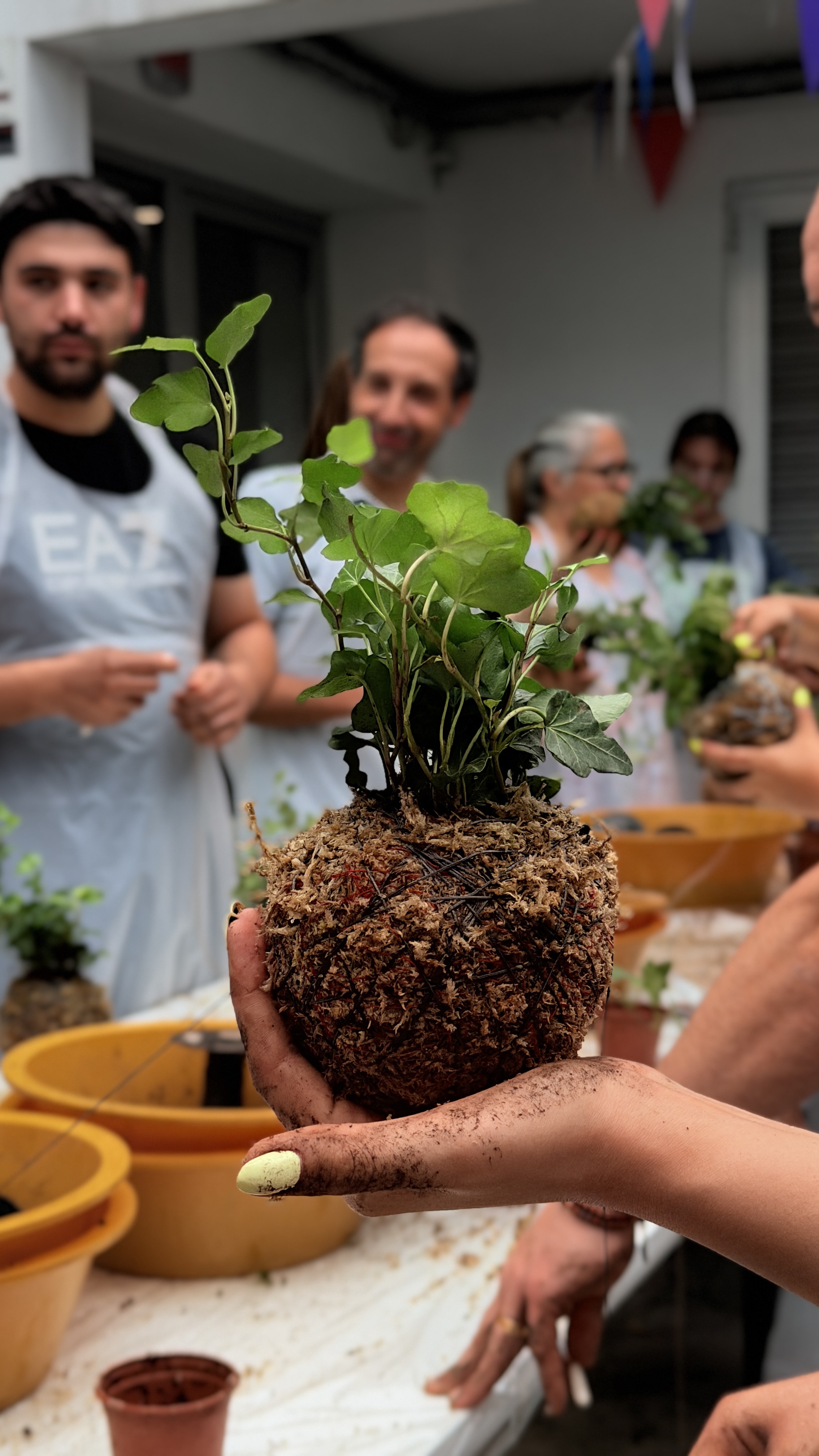 Kokedama Workshop gallery 4