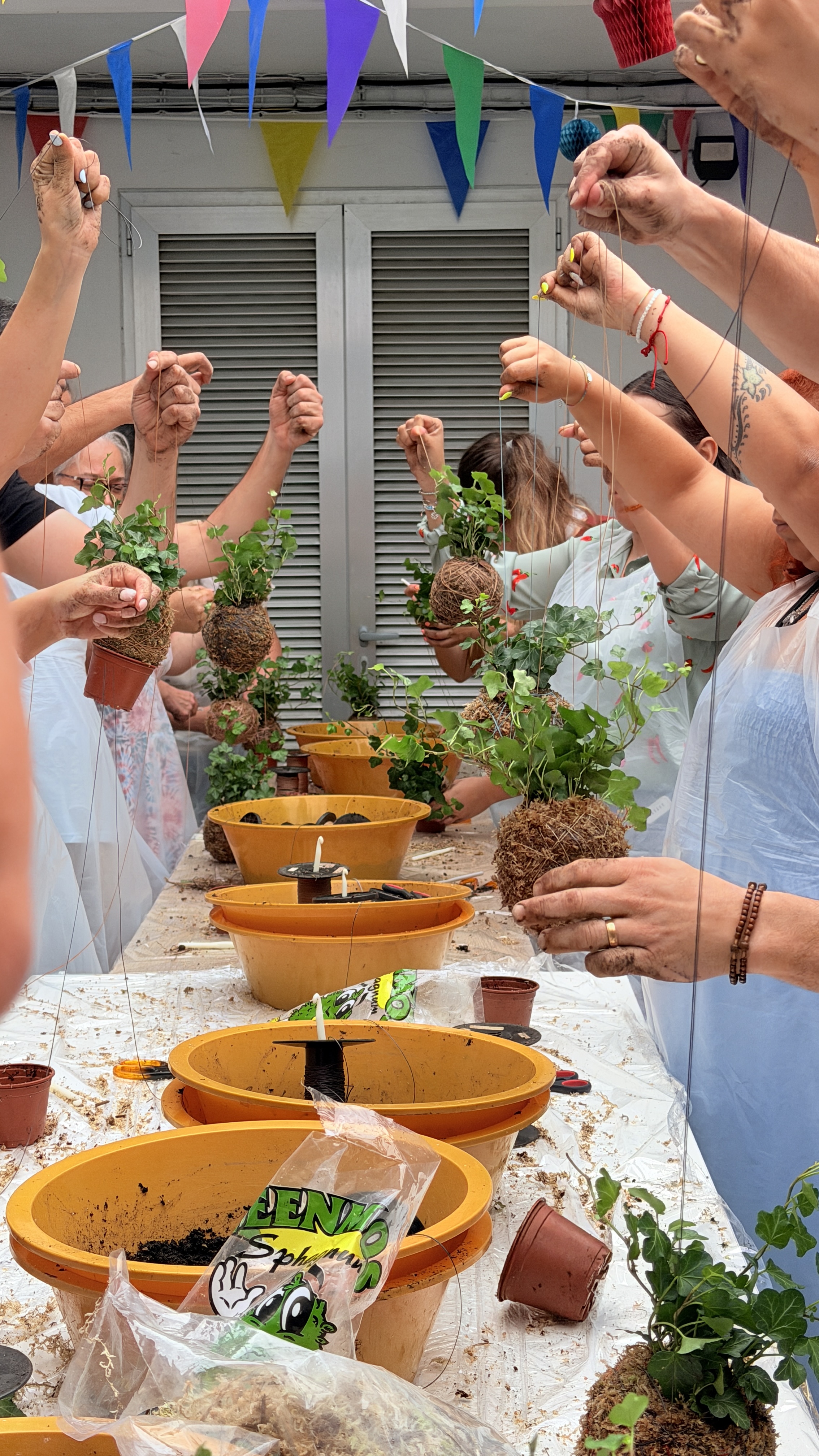 Kokedama Workshop gallery 5