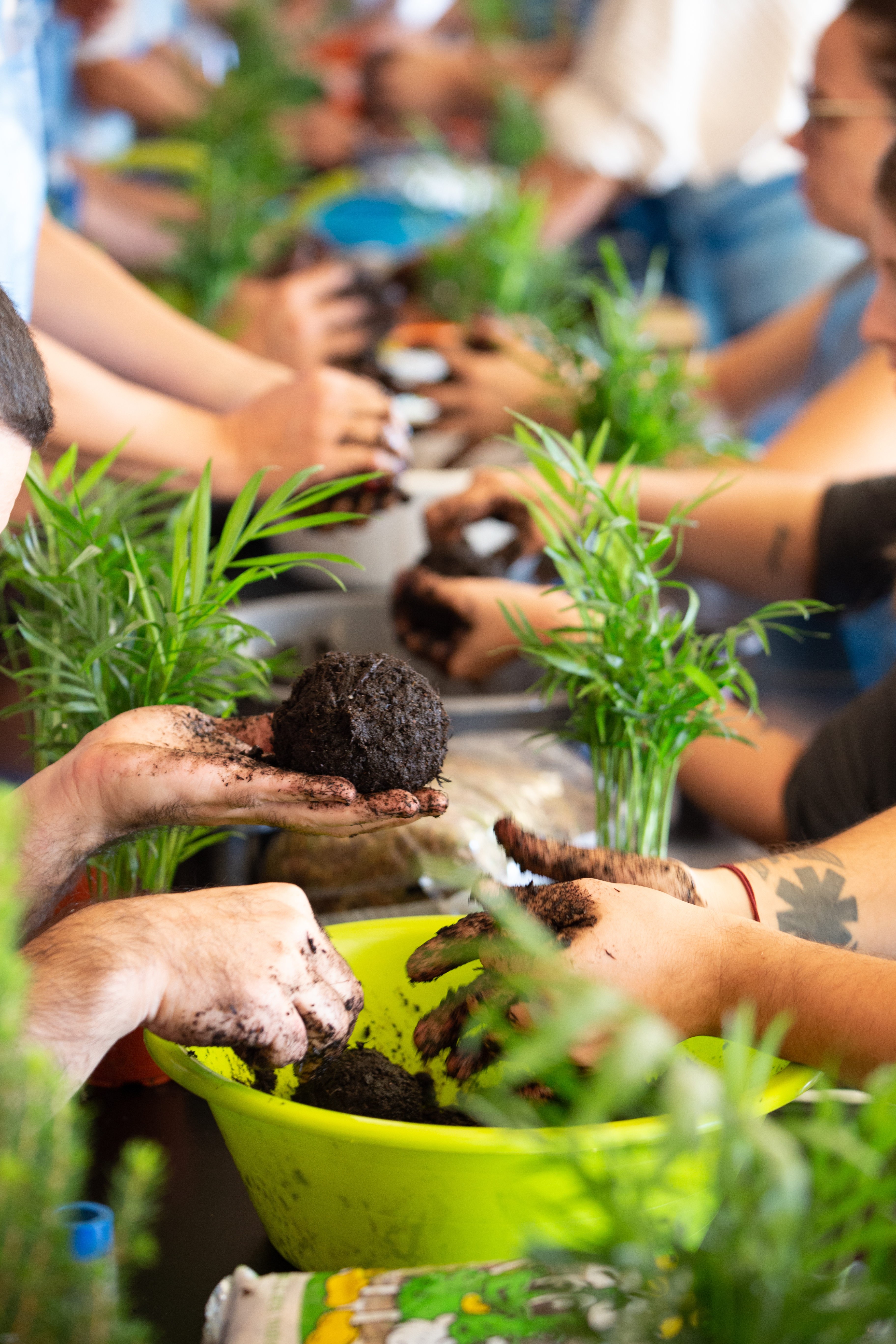 Kokedama Workshop