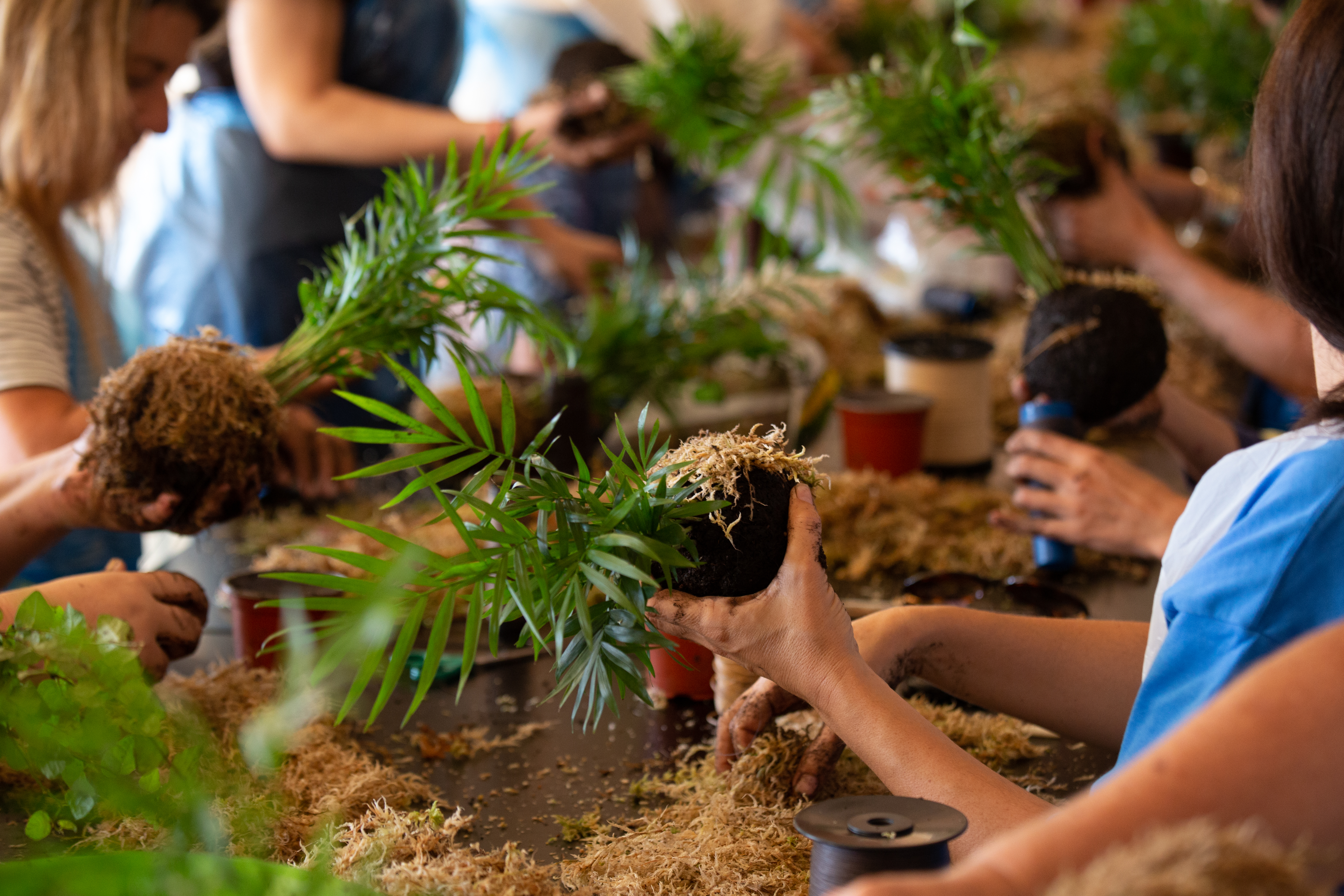 Kokedama Workshop gallery 8