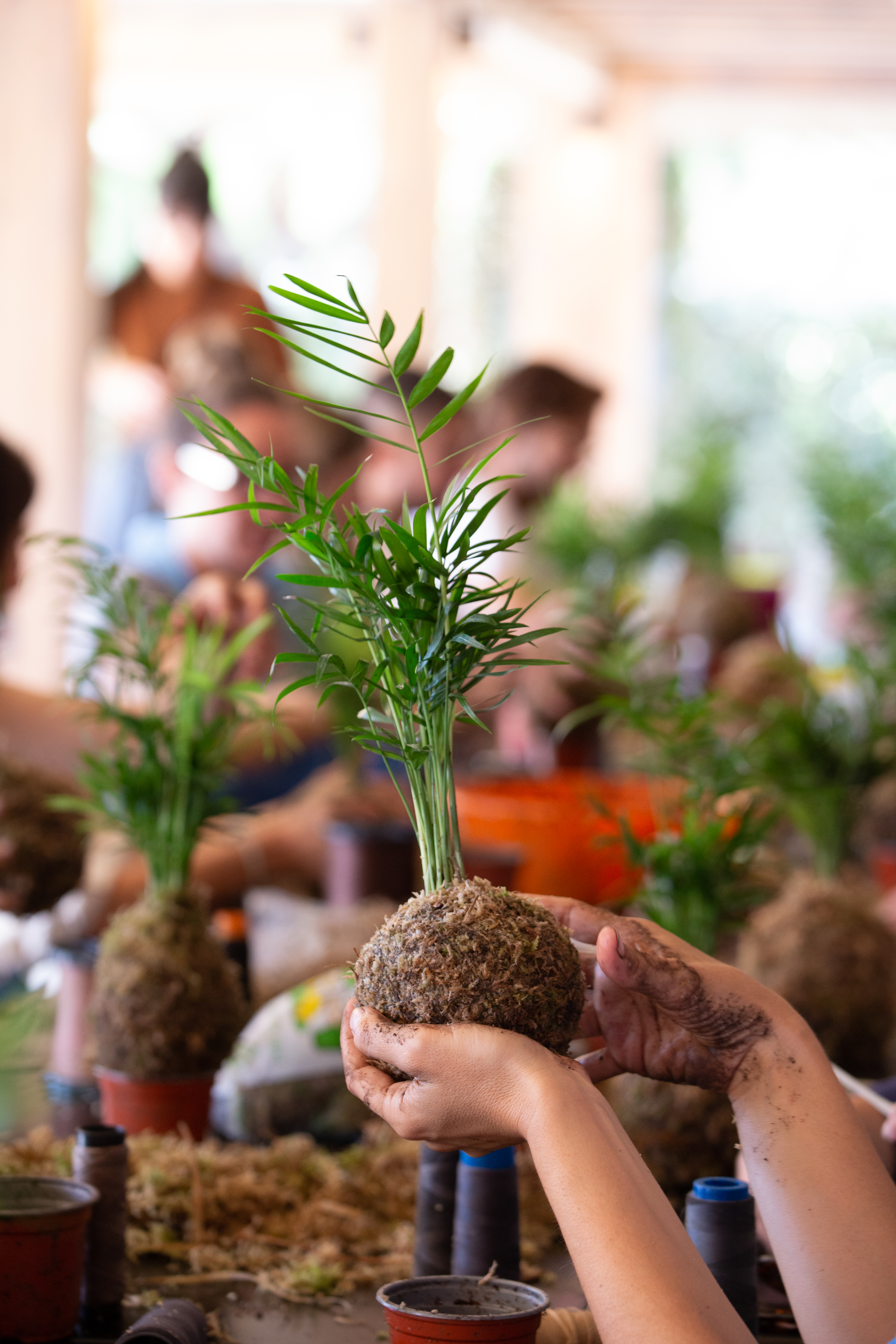 Kokedama Workshop gallery 7