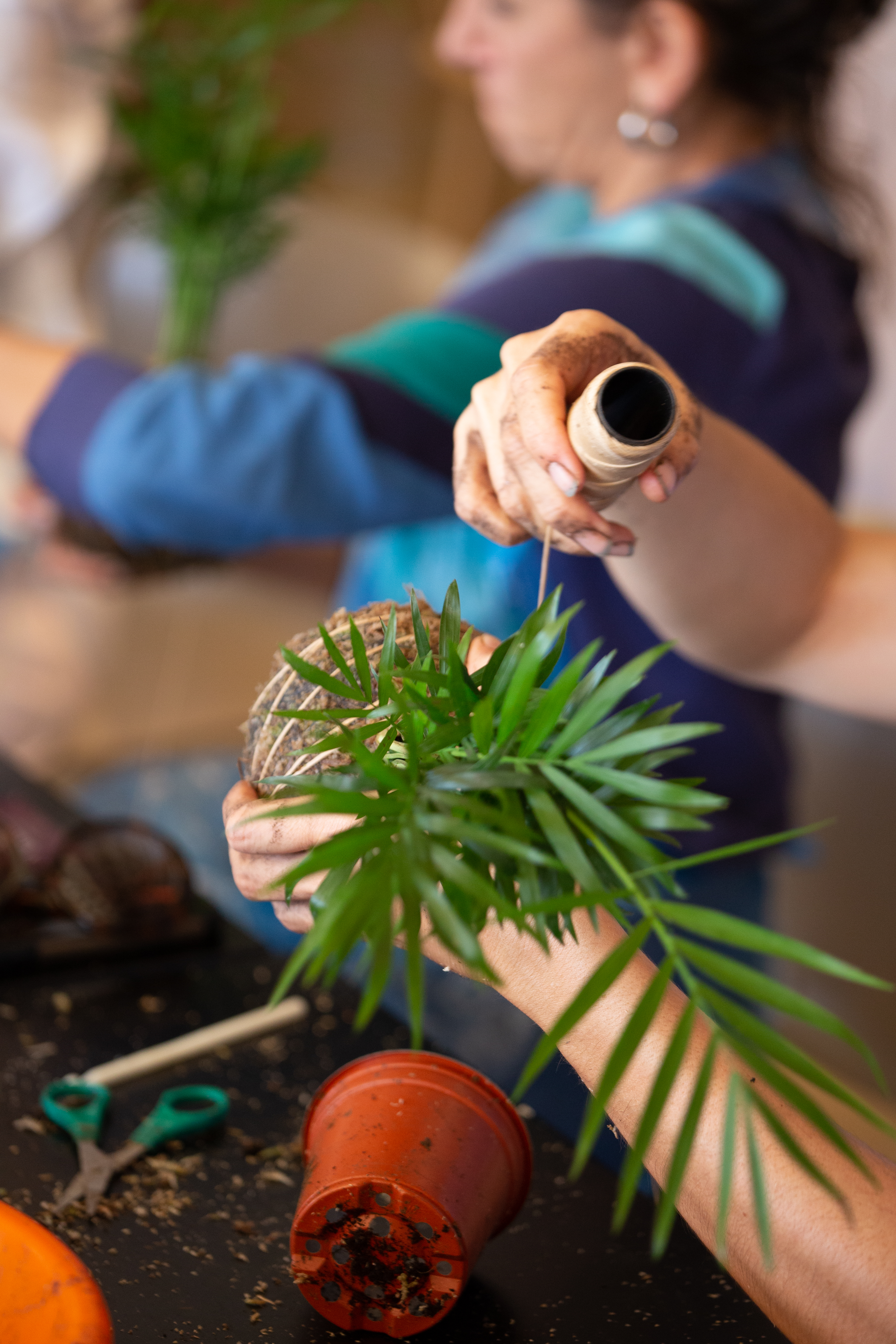 Kokedama Workshop gallery 6