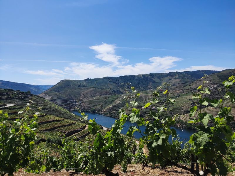 Kayak and Vineyards in the Douro Valley gallery 6