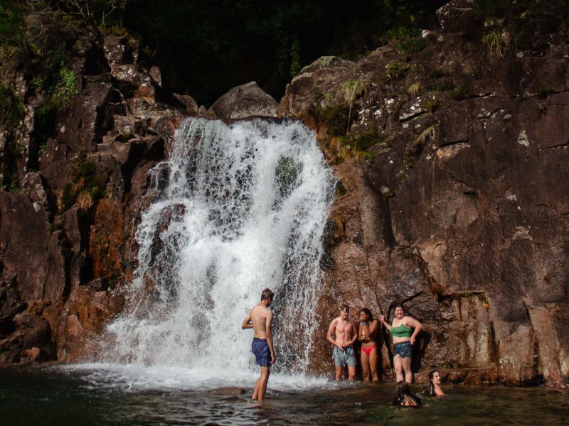 Nature, Culture and Reforestation Experience in Gerês gallery 4