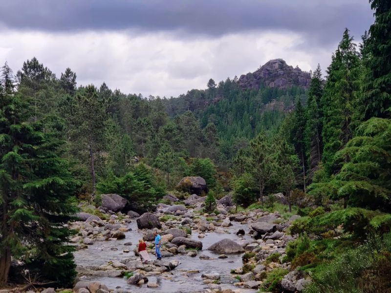 Nature, Culture and Reforestation Experience in Gerês gallery 5