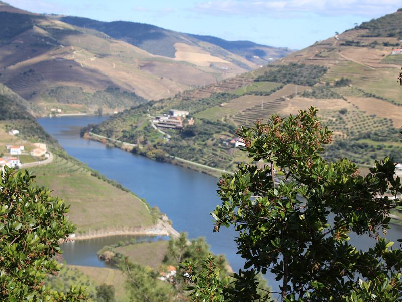 Kayak and Vineyards in the Douro Valley gallery 3