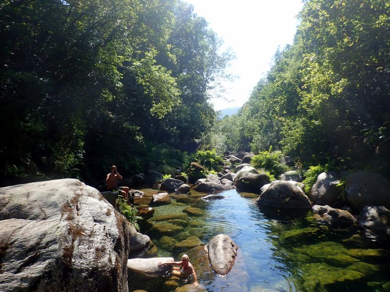 Nature, Culture and Reforestation Experience in Gerês gallery 3
