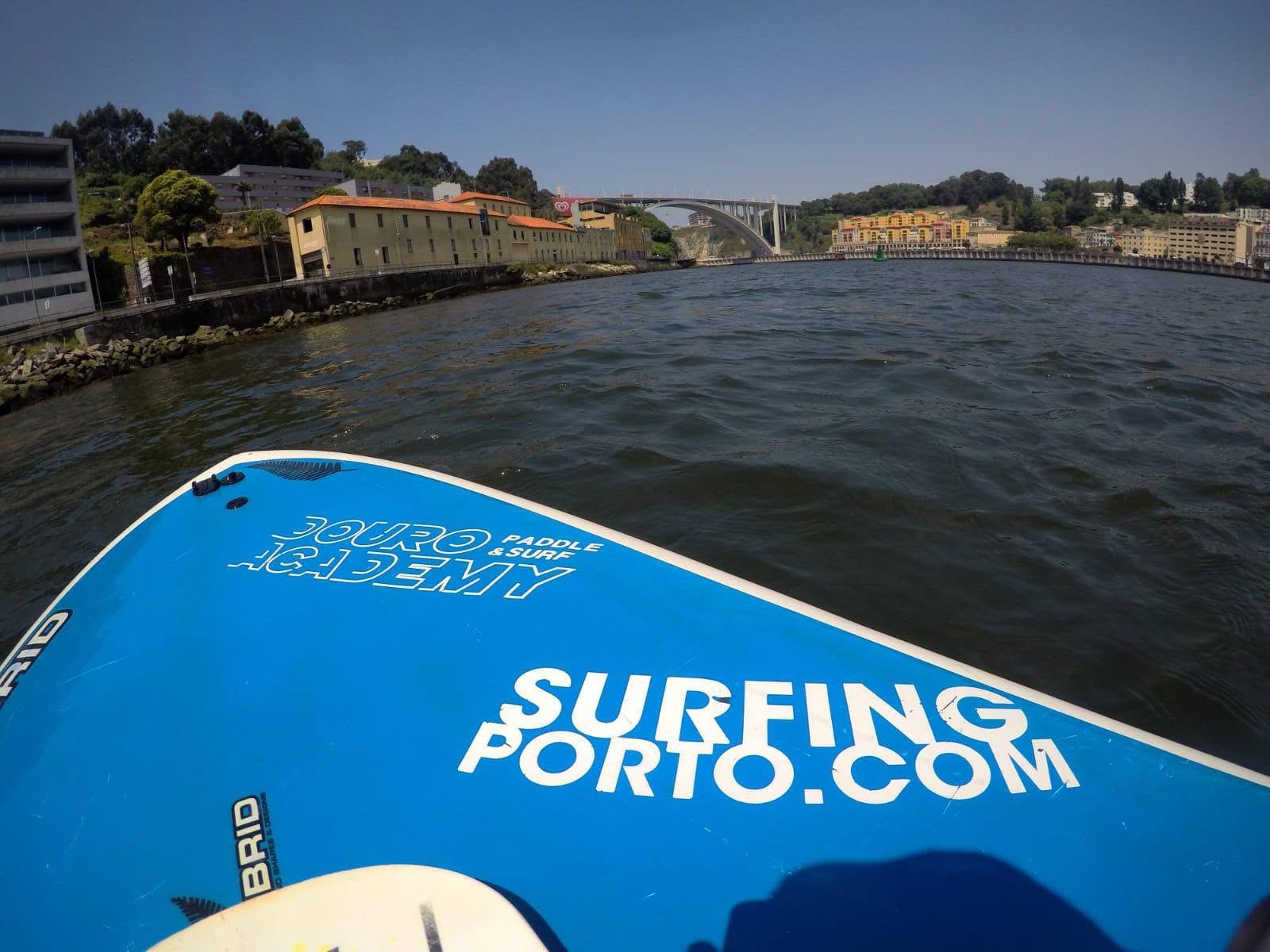 Group SUP Lesson on the Douro River gallery 2