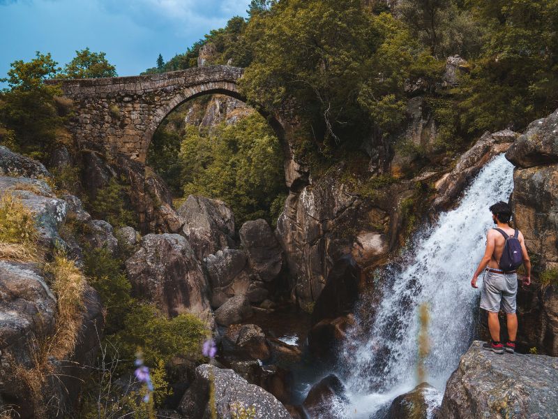 Nature, Culture and Reforestation Experience in Gerês gallery 7