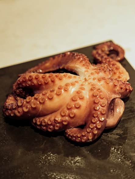 Galeria Octopus Cooking Workshop 9