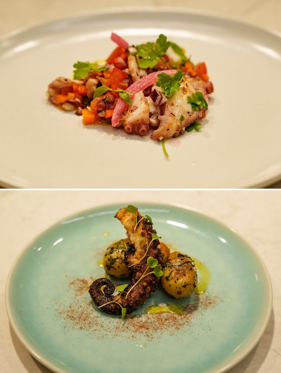 Galeria Octopus Cooking Workshop 4