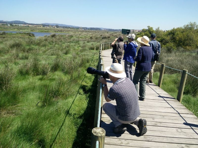 Birdwatching Experience in Litoral Norte Natural Park gallery 5