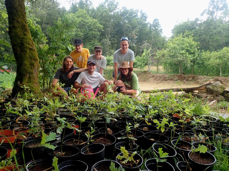 After work workshops Porto nature reforestation Gerês Oporto Adventure Tours full day