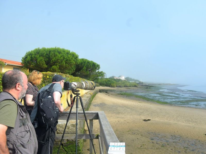 Birdwatching Experience in Litoral Norte Natural Park gallery 4
