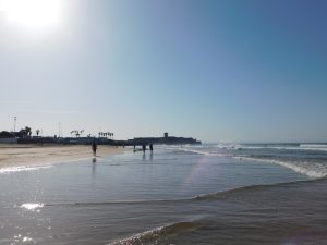 Workshops Ericeira Portugal surf capital with Hands On