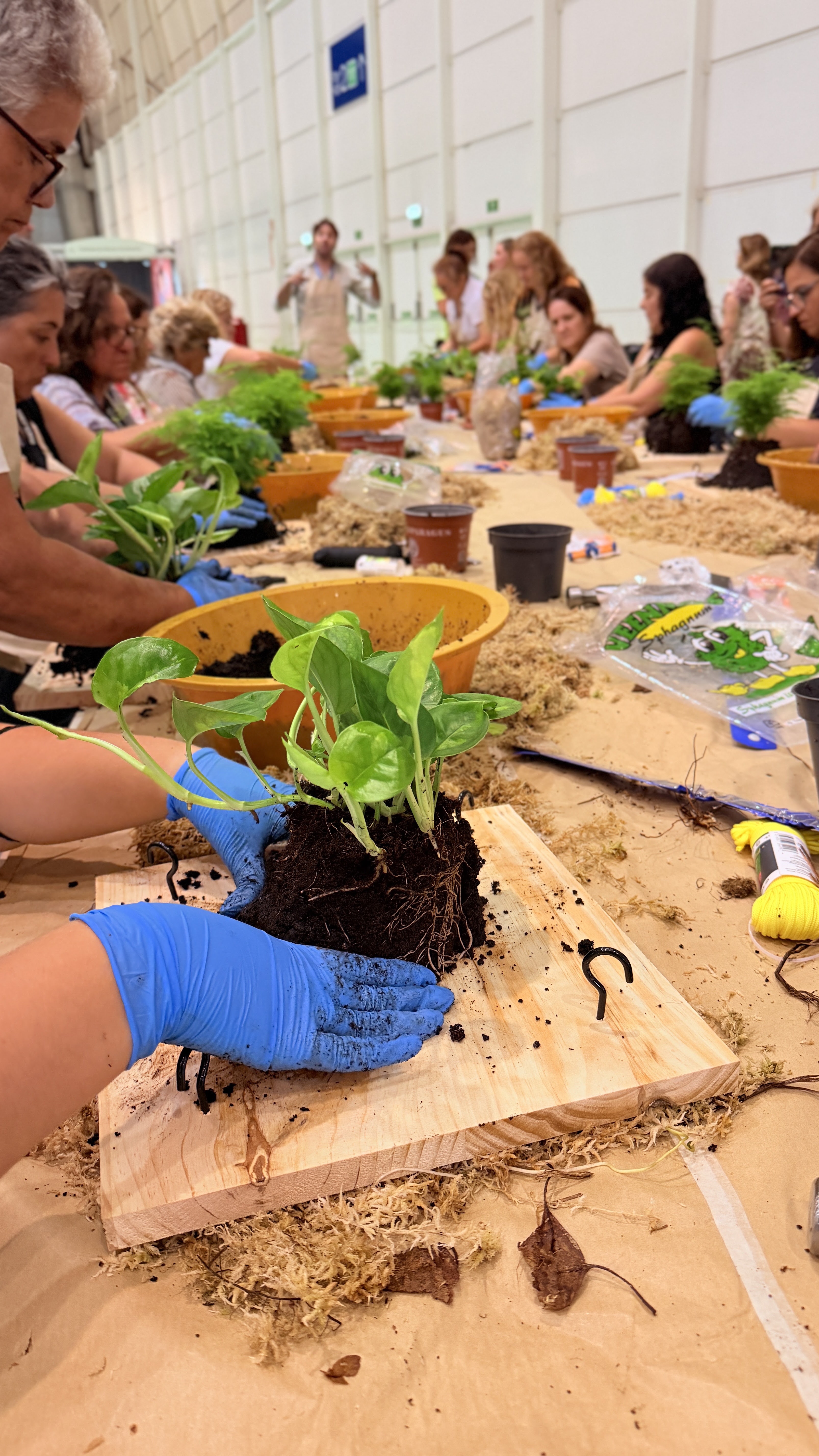 Workshop «Living Frame»
