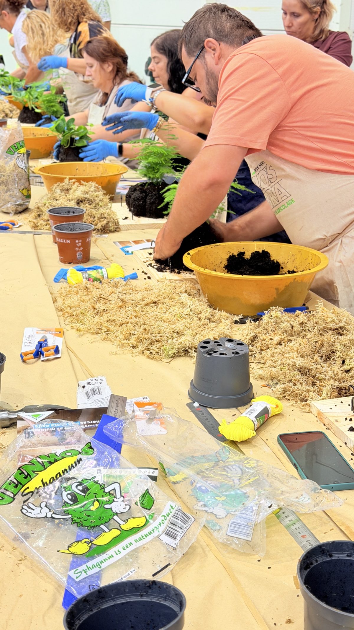 Galeria Living Frame Workshop 3