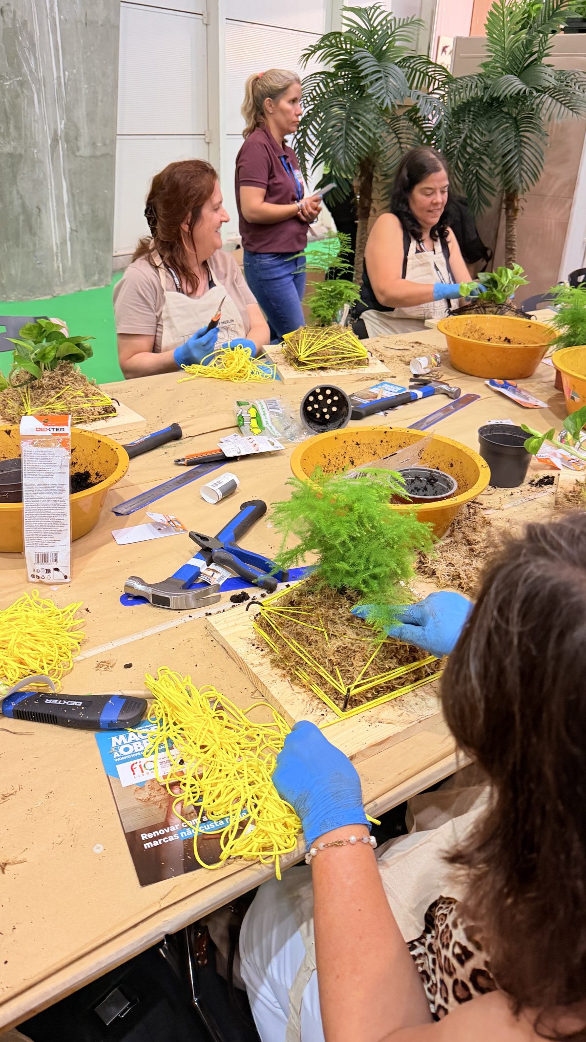 Galeria Living Frame Workshop 5
