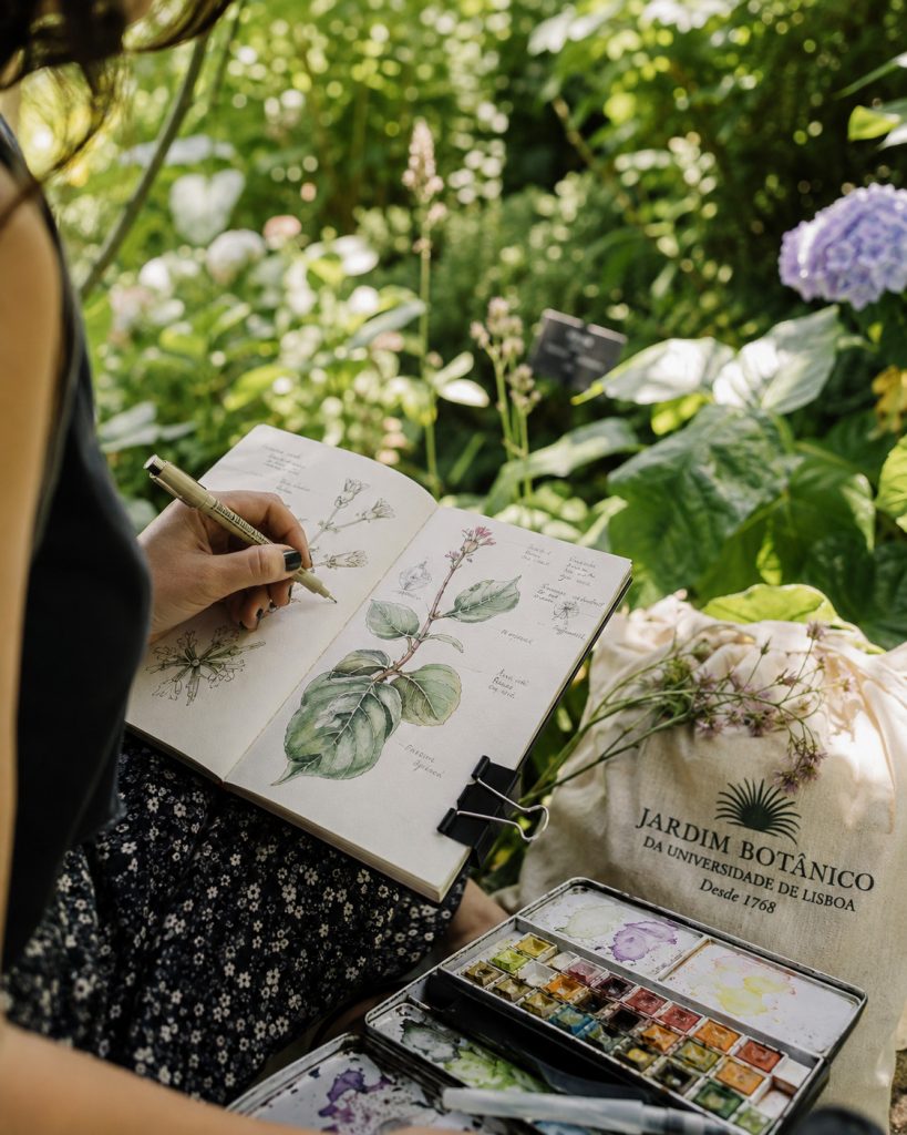 After work workshops Lisbon botanical sketching Jardim Botânico Anna Matos weekend morning