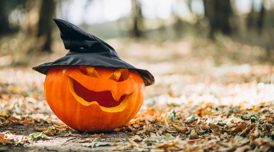 Halloween Activities 2026: Creative and Fun Workshops