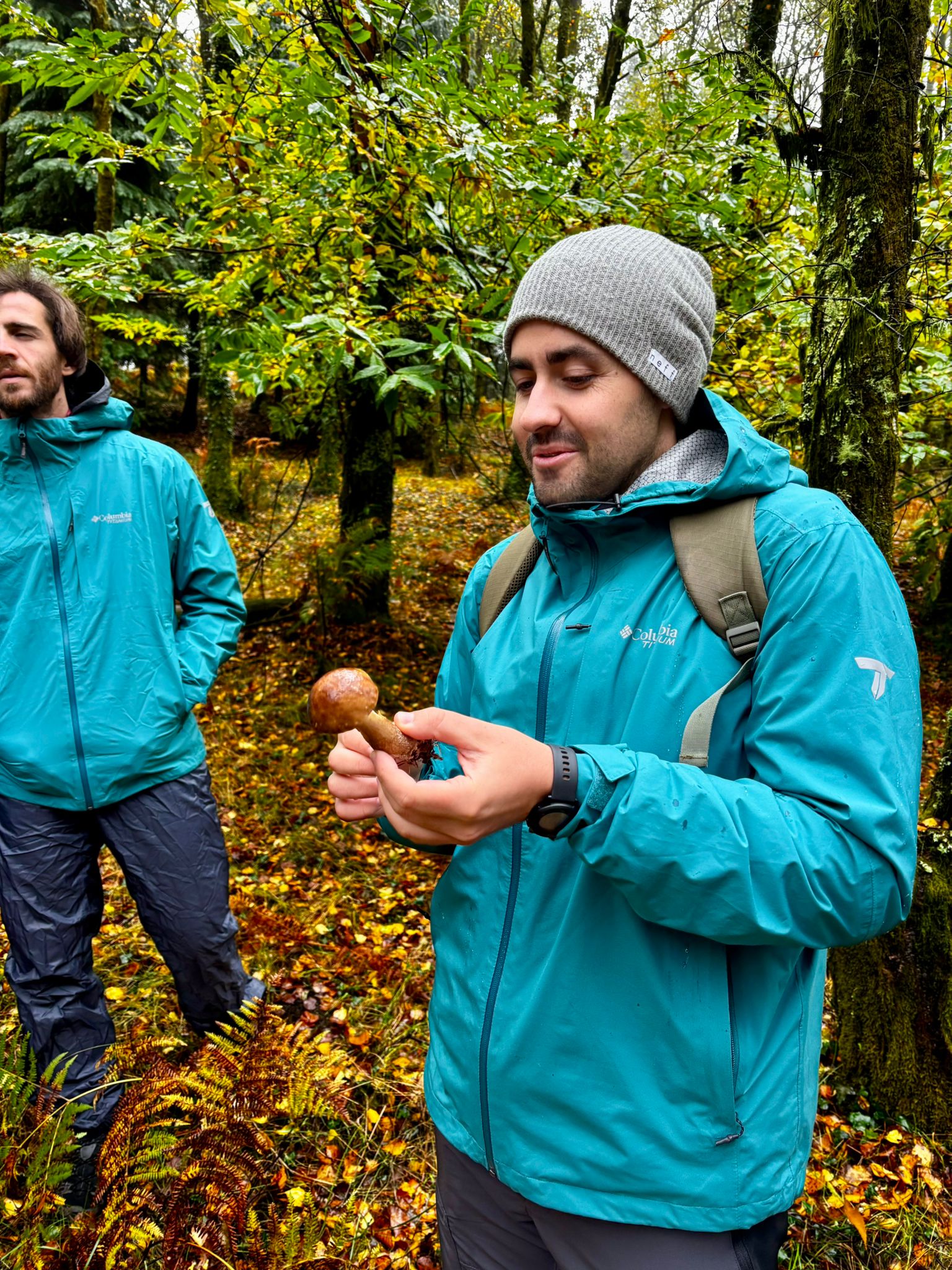 Mushroom Discovery Experience gallery 4