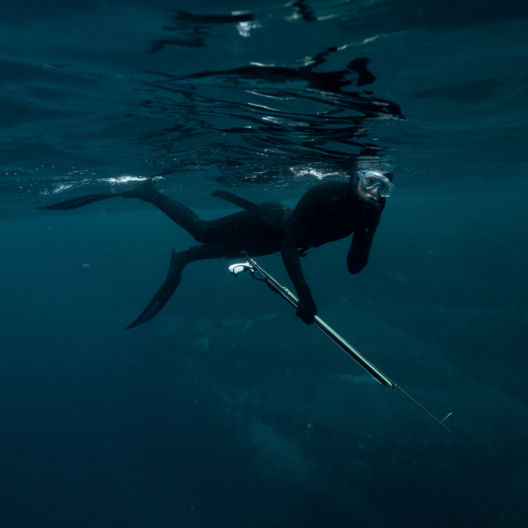 Galeria Introductory course in freediving and spearfishing 1