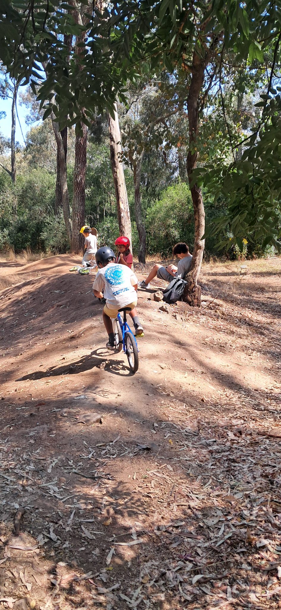 Galeria “Kids On Trees” Weekend Camp 4