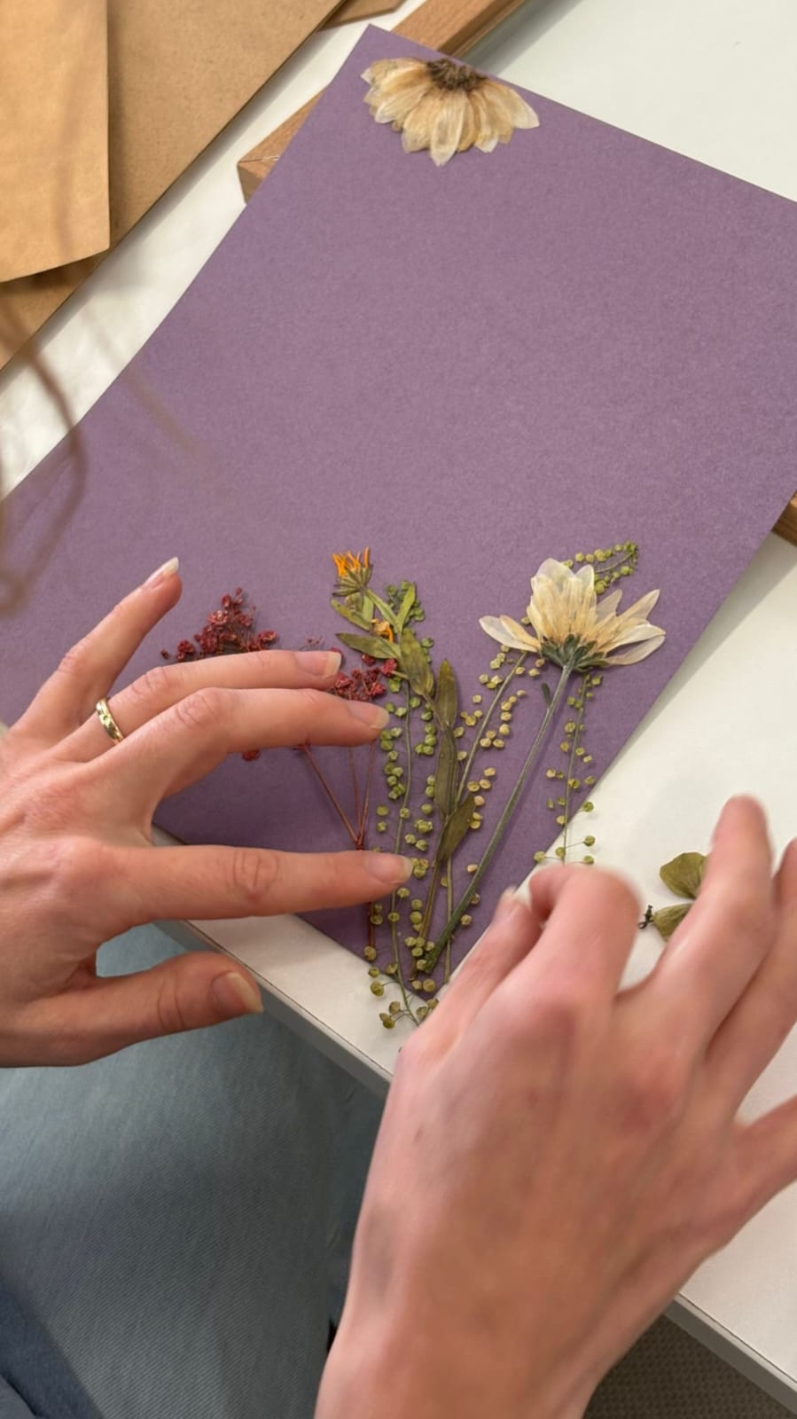 Botanical Art Workshop gallery 2