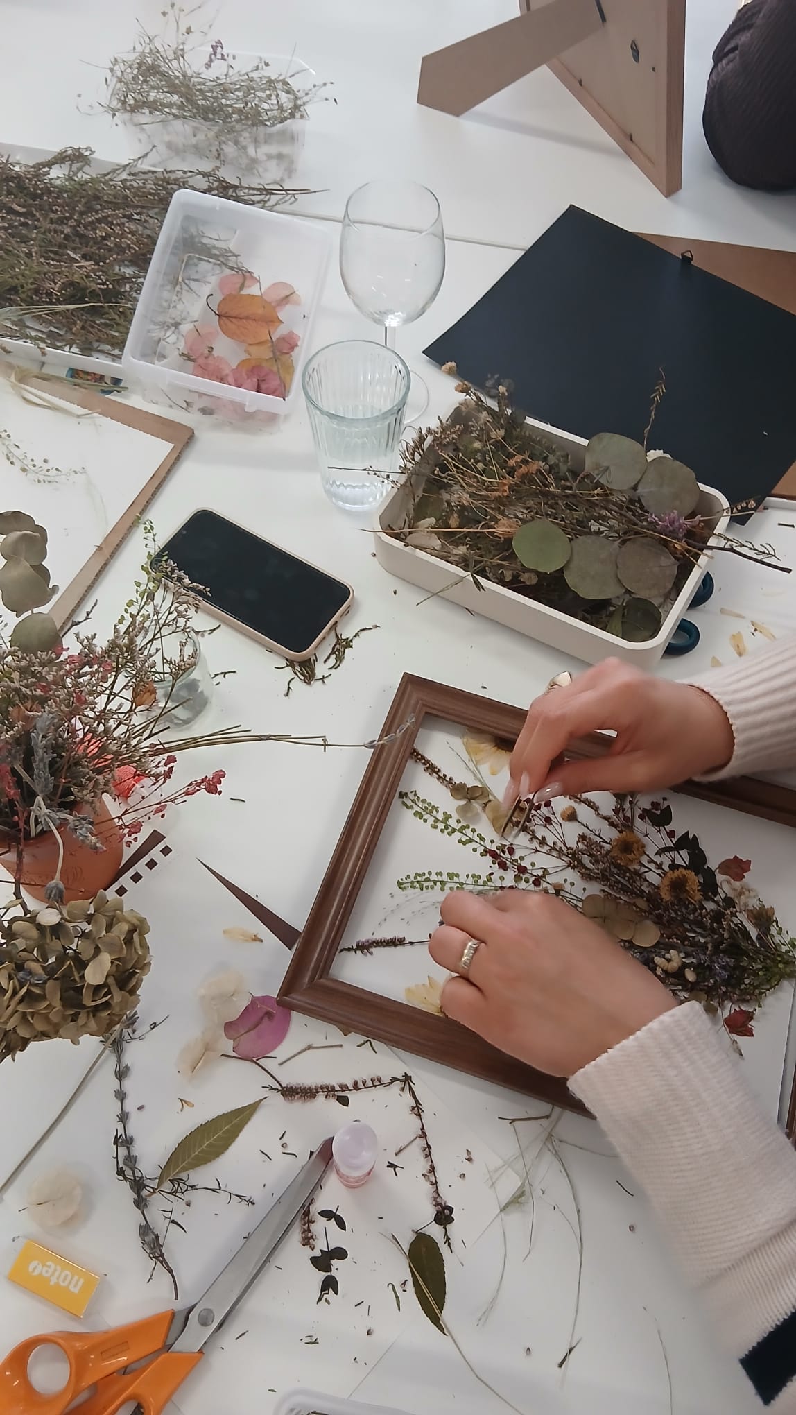 Botanical Art Workshop gallery 4