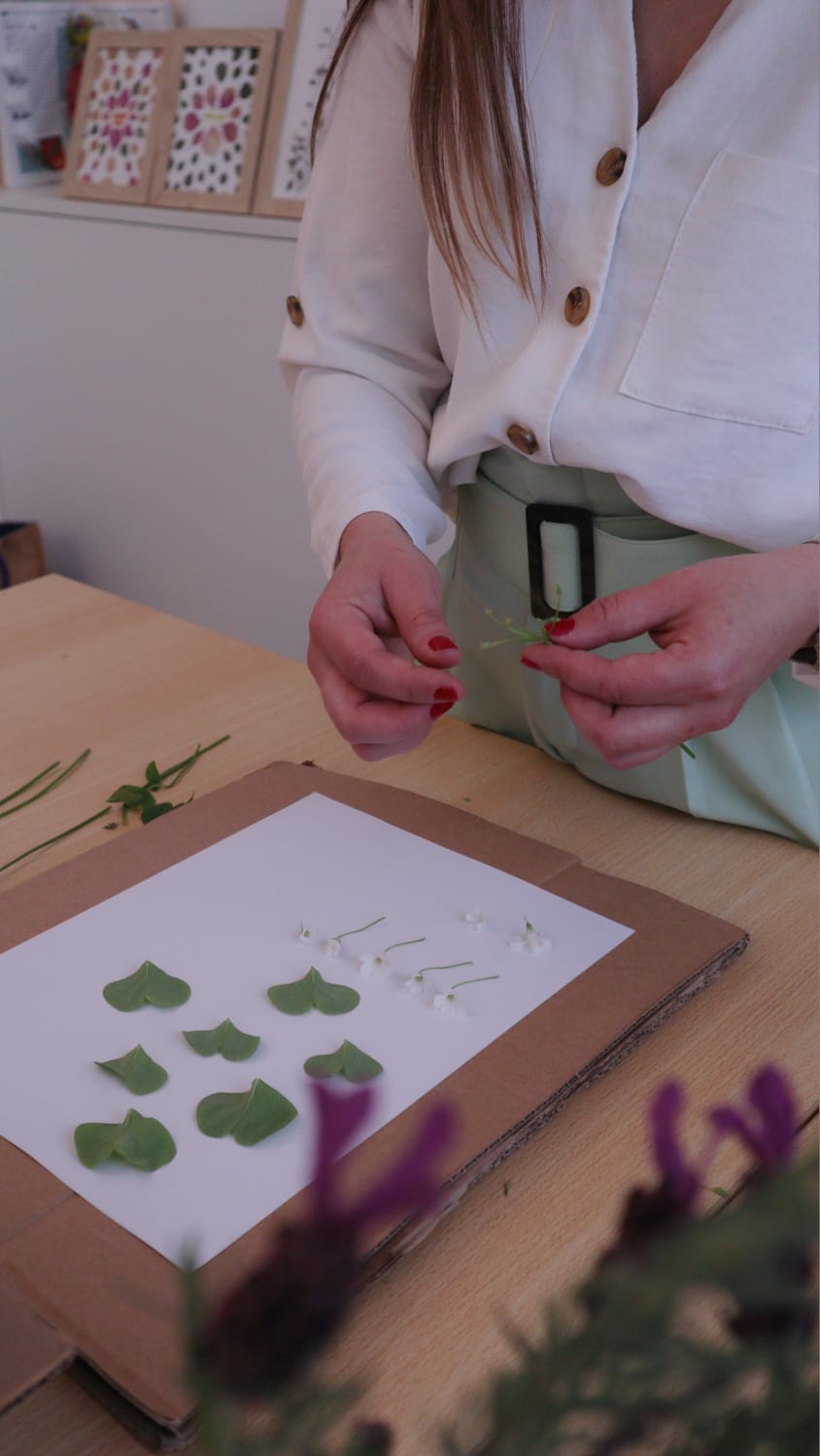 Botanical Art Workshop gallery 5