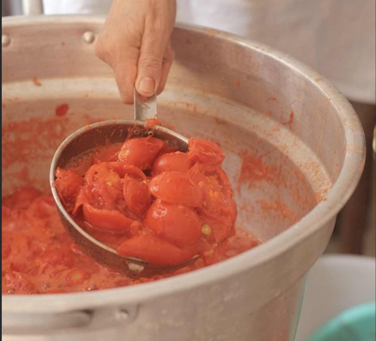 Galeria Tomato Passata Workshop 2