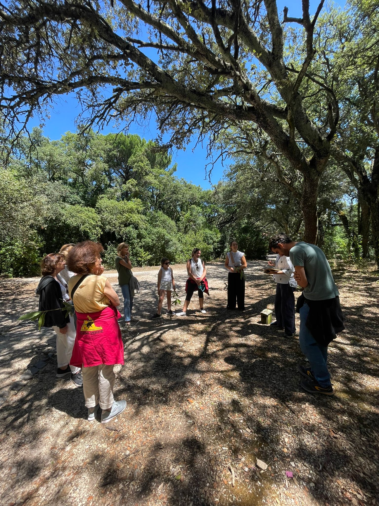 Galeria ForestMinds Team Building Experience 3