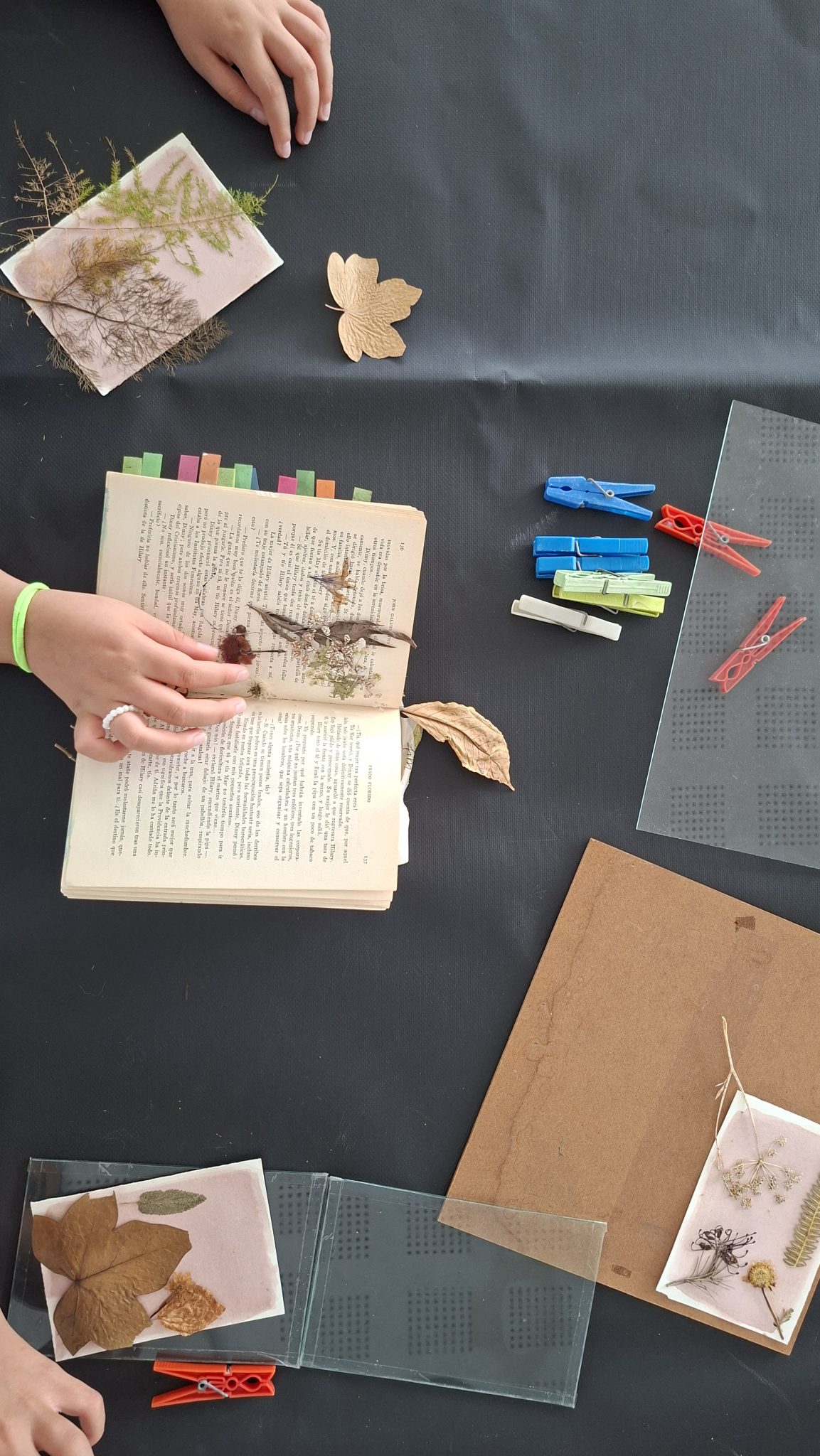 Galeria Anthotypes & Botanical Almanac 2