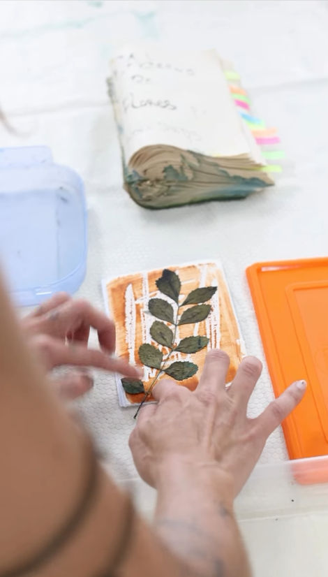 Galeria Anthotypes & Botanical Almanac 4