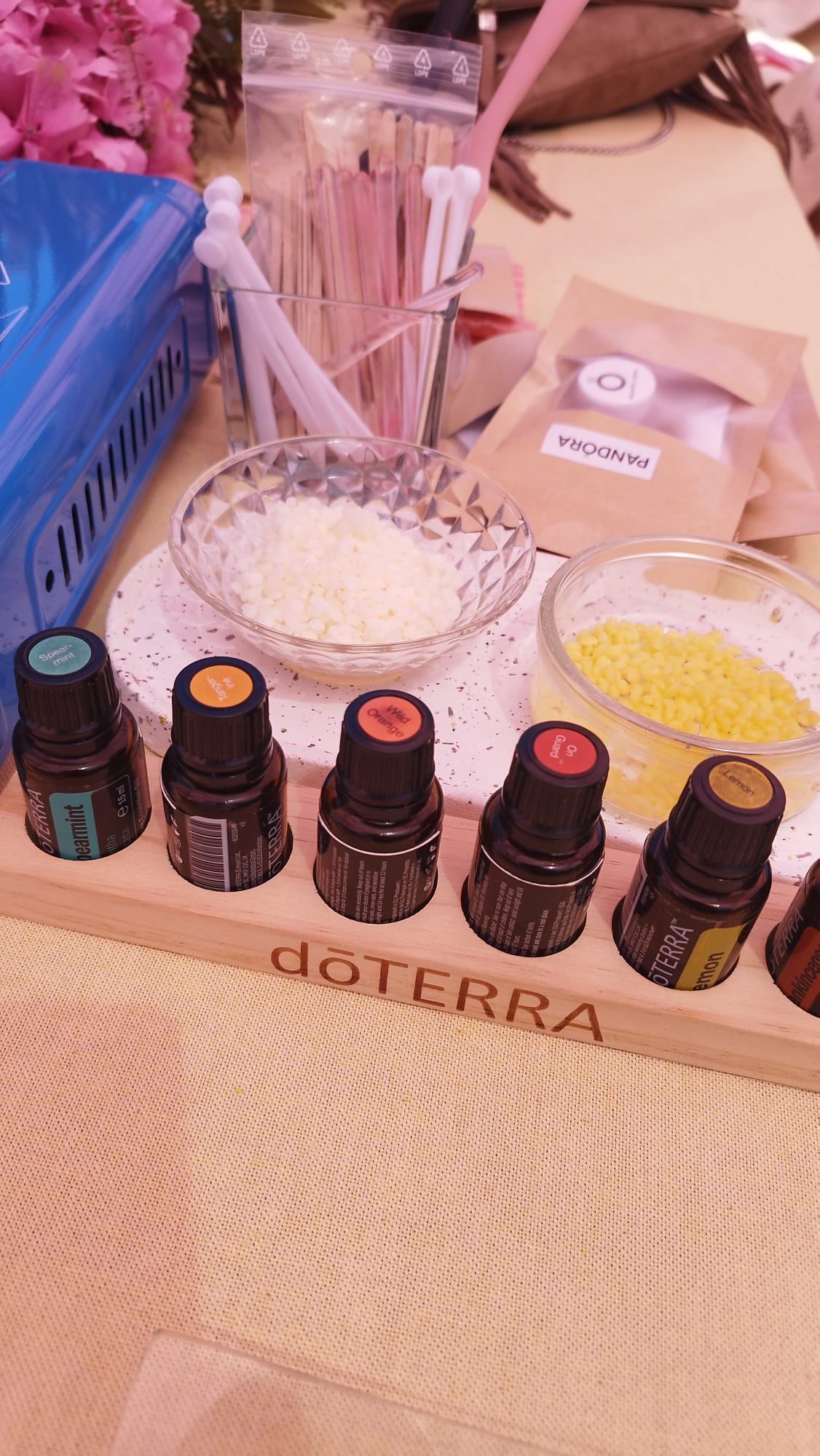 Galeria Natural Skincare Workshops with Essencial Oils for groups 4