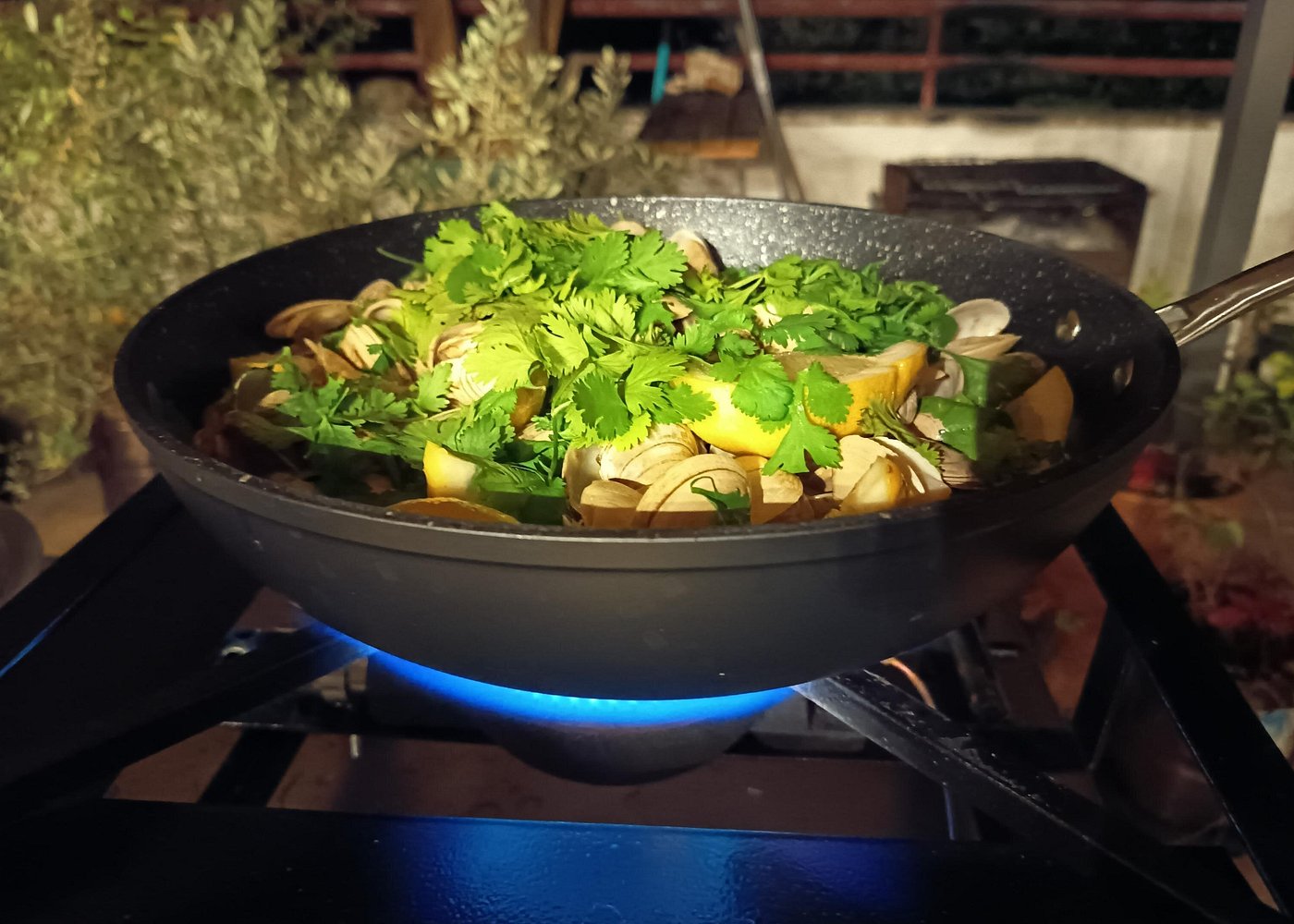 Portuguese Cooking Class on Terrace gallery 2