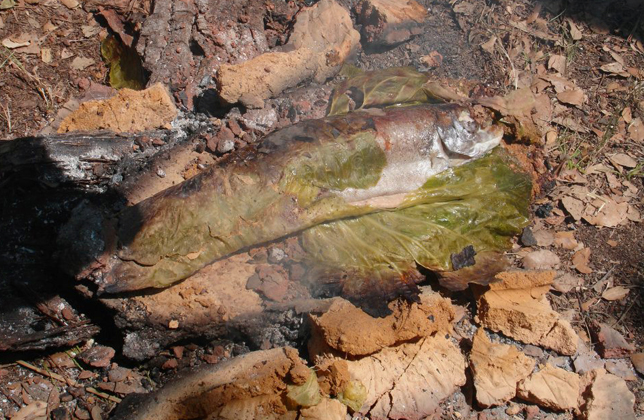 Bushcraft Primitive Kitchen Workshop gallery 3