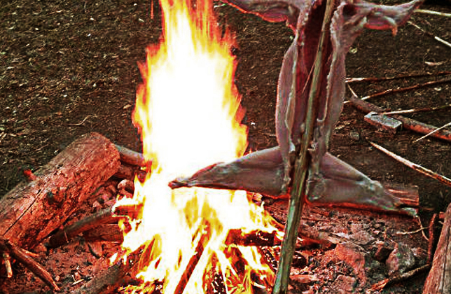 Bushcraft Primitive Kitchen Workshop gallery 5