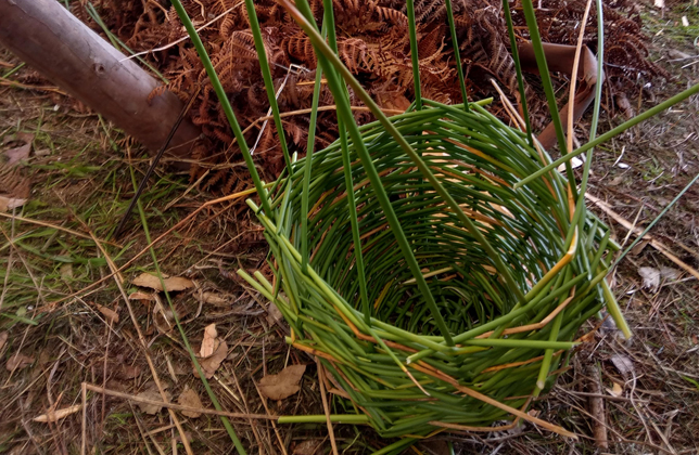 Basic Survival Course gallery 4