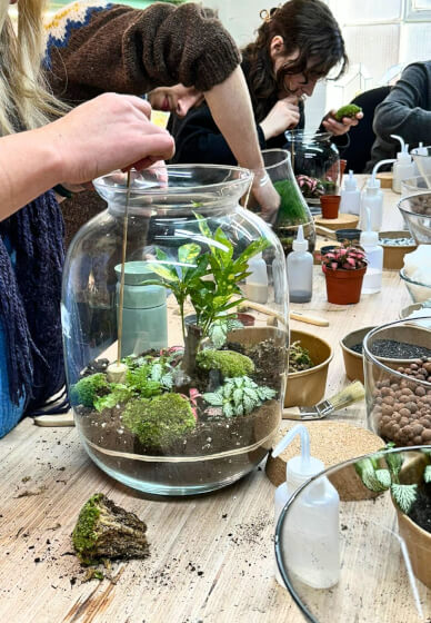Galeria Terrarium Workshop – Create Your Own Little Green World 1