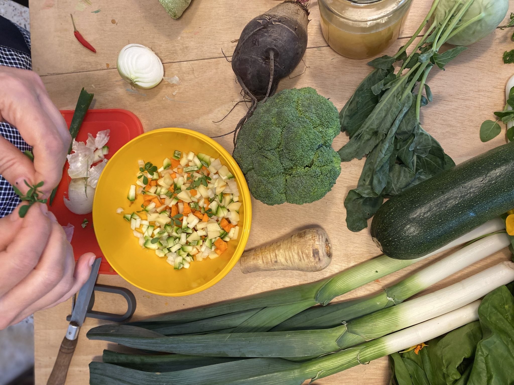Galeria Plant-Based Cooking Workshop 1